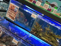 水产区-盒马鲜生(皇庭广场店)
