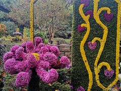 -杭州植物园