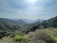 -大岭沟猕猴桃谷风景区