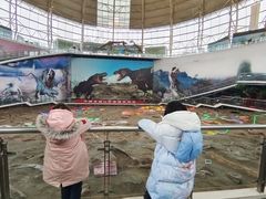 -诸城市恐龙博物馆