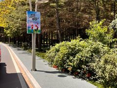 -日照海滨国家森林公园