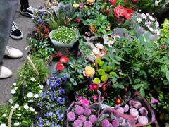 -循礼门鲜花花市(武汉循礼门店)