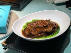 神仙鸭子-松云泽