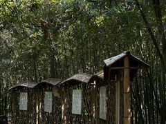 -同里国家湿地公园