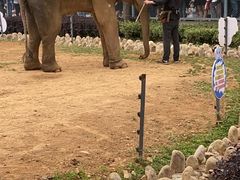 -无锡动物园·太湖欢乐园