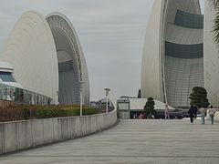 -野狸岛