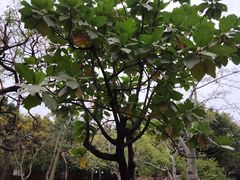 -晓港公园