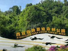 -西双版纳原始森林公园