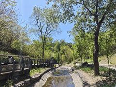 -白水寺森林公园