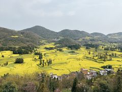 -牛街螺丝田
