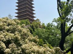 -牛首山文化旅游区