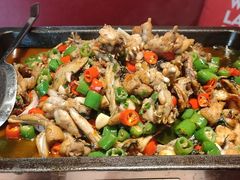 -蛙来哒(正荣财富店)