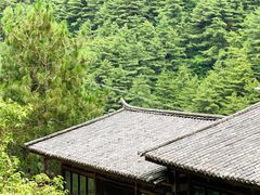 -苍山感通索道