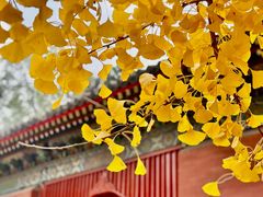 -承恩寺