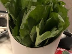 -同仁四季椰子鸡(福田东园总店)