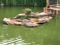 -南昌动物园