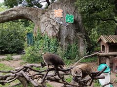 -宁波野生动物园