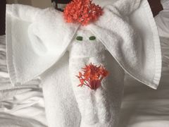 -三亚亚龙湾雅高铂尔曼别墅度假酒店