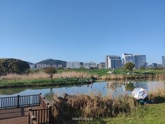 -苏州太湖假日酒店