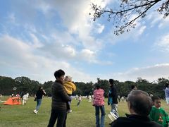 -青枫公园
