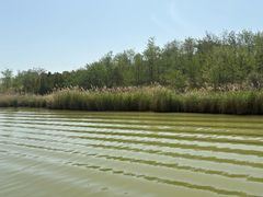 -卤阳湖国家湿地公园