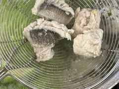 -金砂阿洲鱼册店
