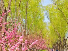 -南长河公园