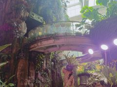 -正佳雨林生态植物园