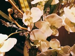 -真爱中国餐馆·年华店(朱雀大街店)