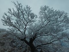 -江南天池