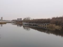 -哈尔滨大剧院