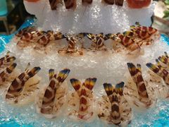 -德兴show鲜·蒸汽海鲜火锅餐厅(格创悦里店)