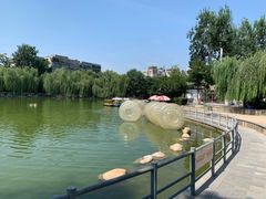 -莲湖公园