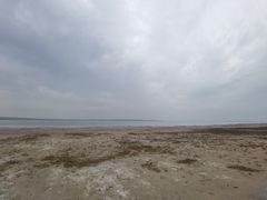 -红碱淖景区