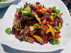 -菌山里·野生菌猪肚包鸡(阳光花园店)