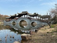 -上海海湾国家森林公园