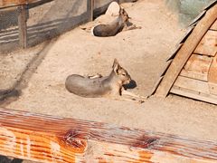 -祥源·阜阳生态乐园