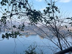 -仙岛湖旅游风景区