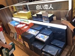 -TIAT DUTY FREE SHOP NORTH(羽田机场店)