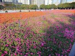 -海心沙亚运公园