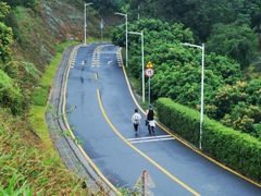 -黄埔油麻山森林公园