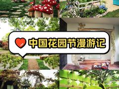 -上海鲜花港