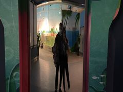 -石家庄海洋公园