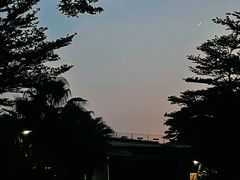-福田红树林生态公园