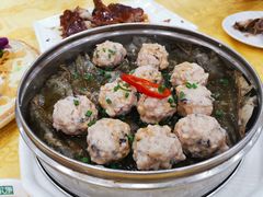 荷香肉丸-姚林轩