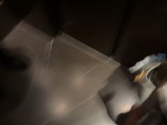 -顶层酒吧ROOF(上海艾迪逊酒店)