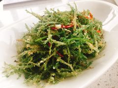 鹿角菜-伊祥·敦煌楼