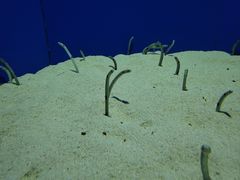 -上海海洋水族馆