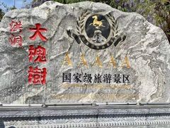 -大槐树寻根祭祖园