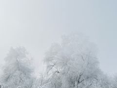 -雾凇岛